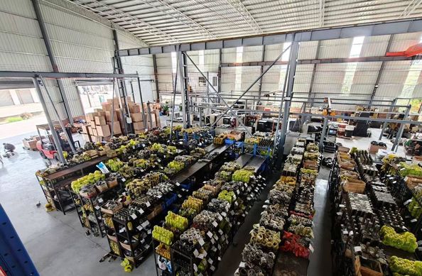 Guangzhou Top-Service Trading Co., Ltd.