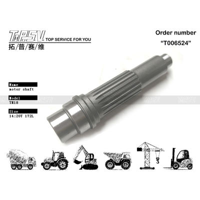 Good price Confezionamento in sacchetto sigillato per un facile trasporto dell'albero motore di traslazione per escavatore con pompa idraulica TM18 in linea